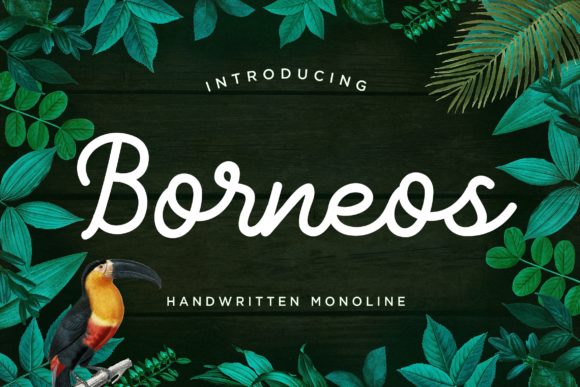 Borneos: A Handwritten Font for Creative Professionals