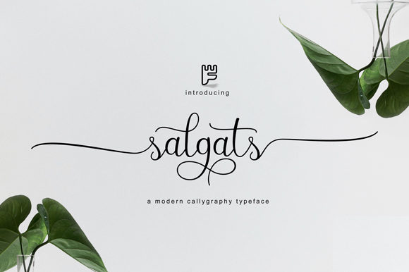 Discover the Elegance of Salgats