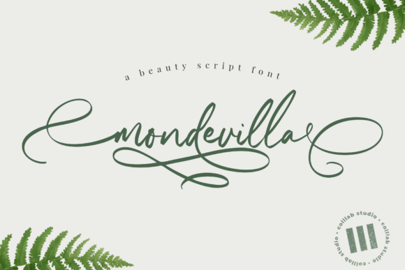 Mondevilla: The Elegant Handwritten Font for Every Design