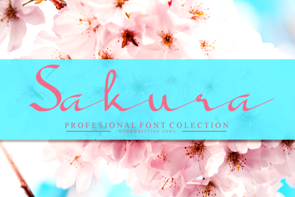 Sakura: The Elegant Script Font for Every Creative Need